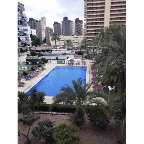 Apto. Kitsch Playa Levante Benidorm