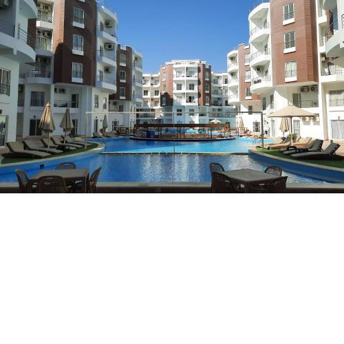Aqua Palms Studio A210