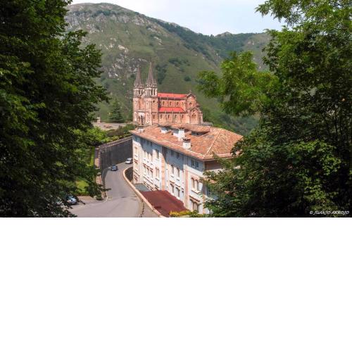 Arcea Gran Hotel Pelayo