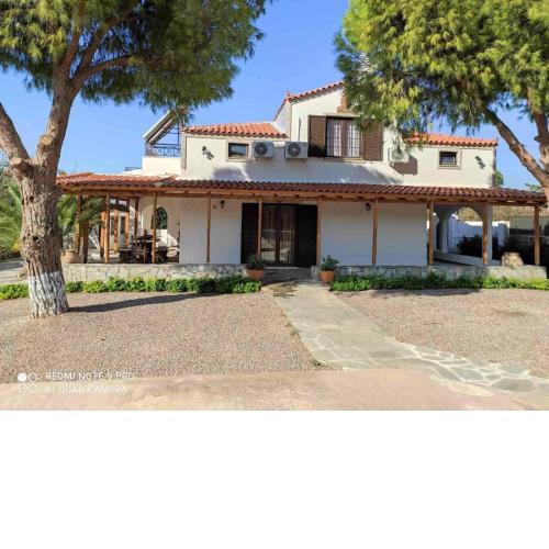 ARCHONTISSA Lagonisi villa