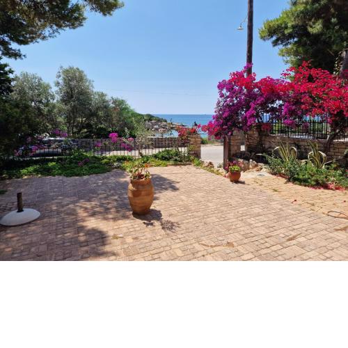Archos Beachfront Studio
