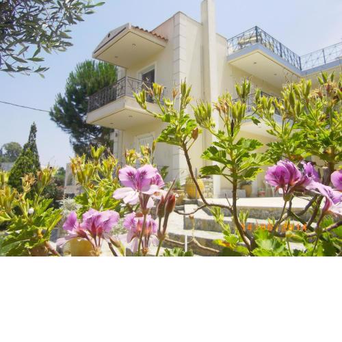 Areti & Maria Apartments