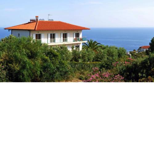 Aris Pension