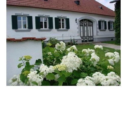 Arkadenhof Kurtz