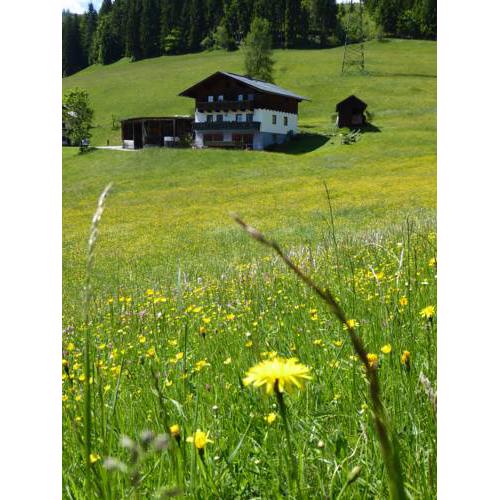 Arlberggut