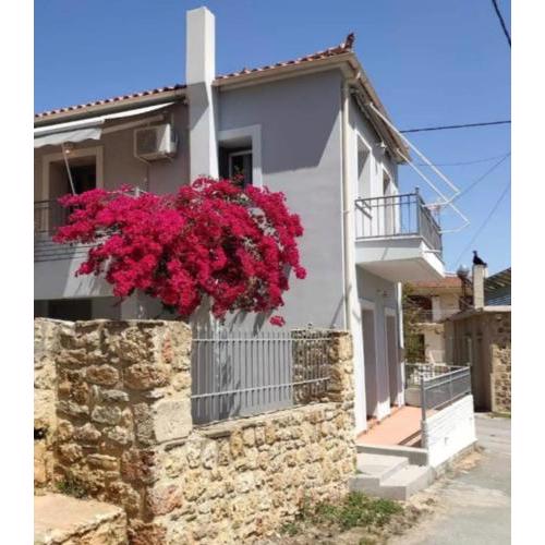 Artemis House
