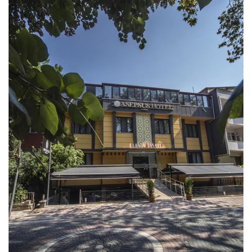 Asepsus hotel