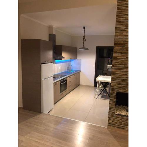 Aspa’s palm apartment Chania