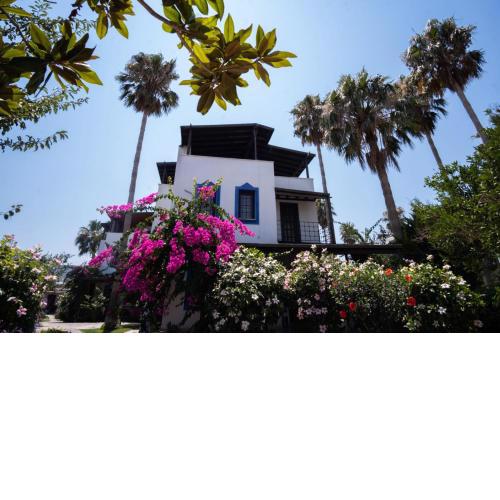 Astonishing Villa with Pool near Tilkicik Bay