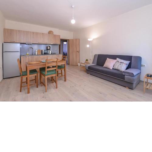 Atacama - spacious apartment in Lozenets area
