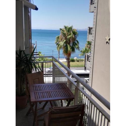 Athens Riviera apt with seaview, 15' to Acropolis