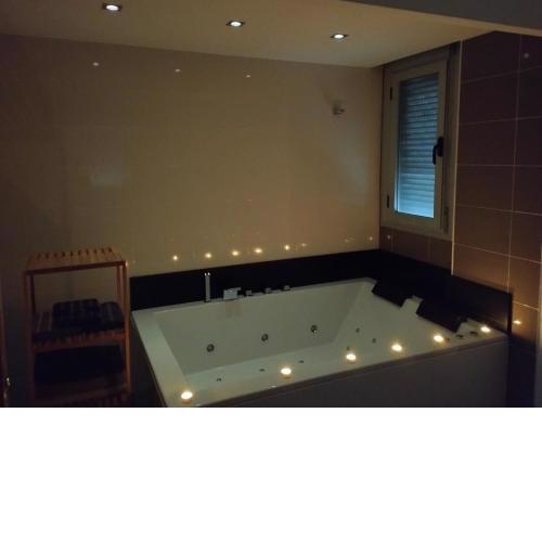 Atico con hidromasaje, terraza y piscina en EbreHogar