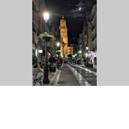 Atico singular en el centro histórico.