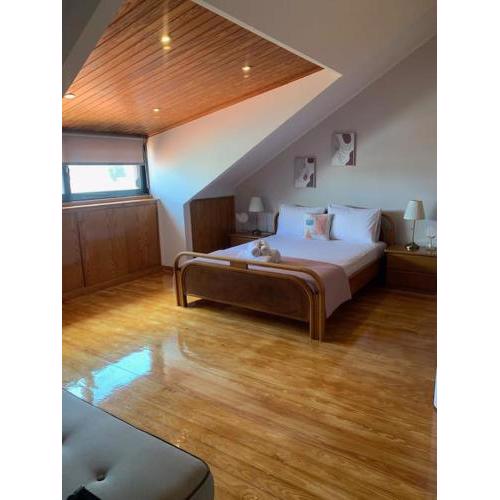 Attic View Palatia