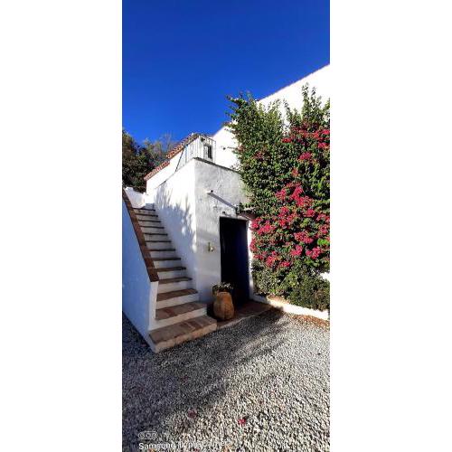 Attico Los Montes with private pool