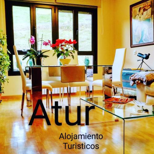 Atur