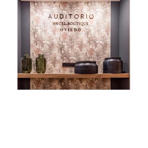 Auditorio Rooms Boutique Oviedo