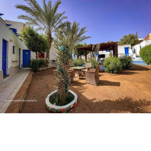 Auski Hostel Dahab