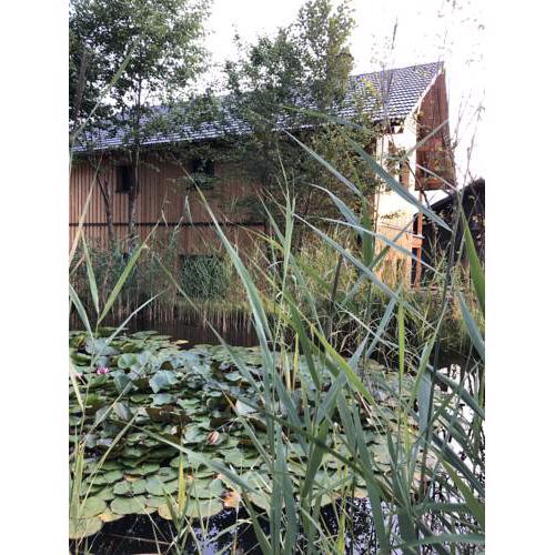 Ausseer Chalet (nahe Hallstatt), Appartements
