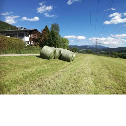 Austrian with a Twist