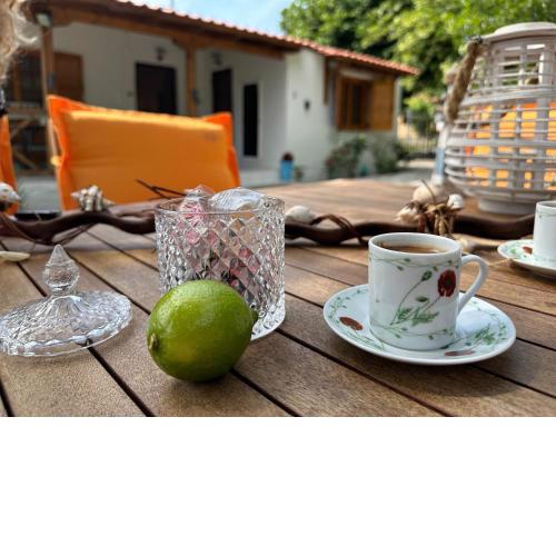 Authentic Charm in Sykia, Sithonia