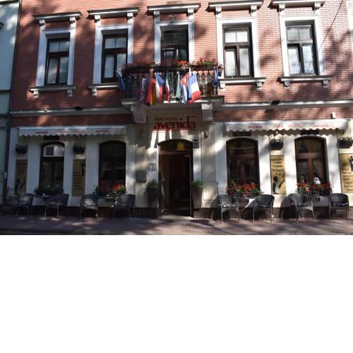 Avenida Park Hotel