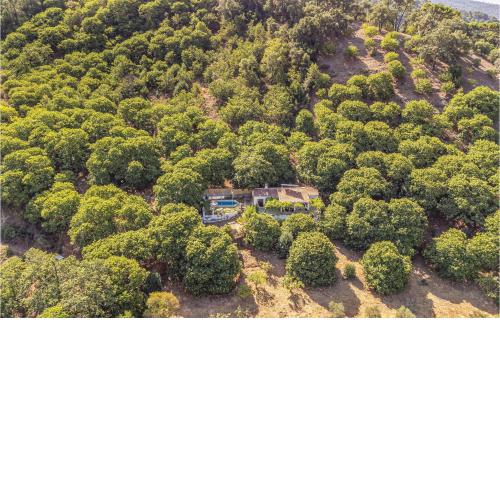 Awesome Home In Jubrique With Outdoor Swimming Pool, Private Swimming Pool And 3 Bedrooms
