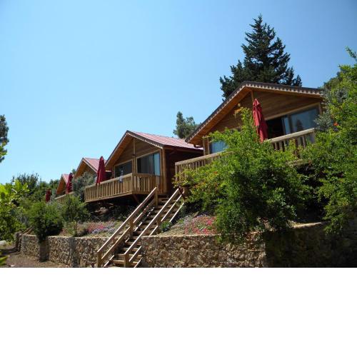 Azra Villas