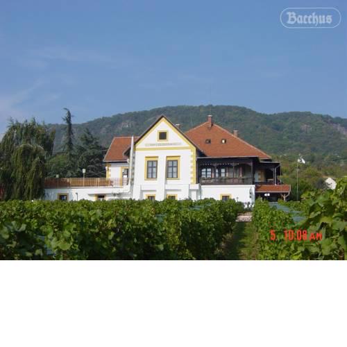 Bacchus Apartman - Borbarlang Badacsony