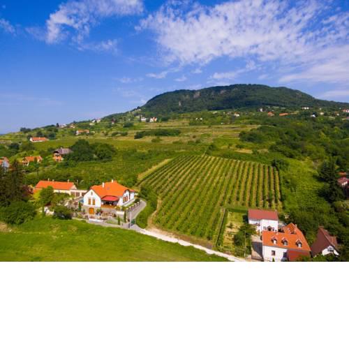 Badacsony Villa Ria