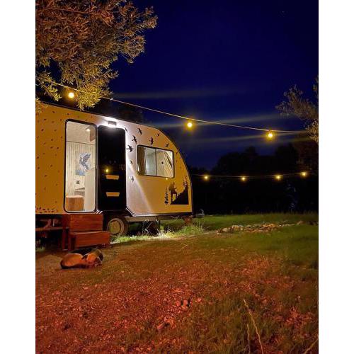 BADEMLİ CARAVAN GARDEN