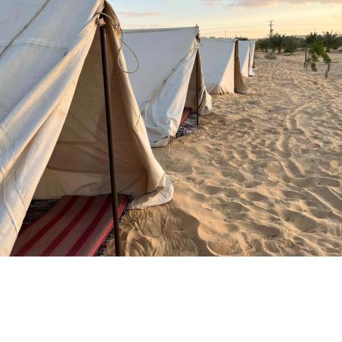 بدوين كامب Badween Camp