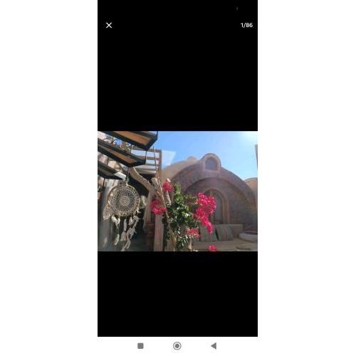 Bait el dome