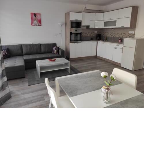 Bajcsy Apartment