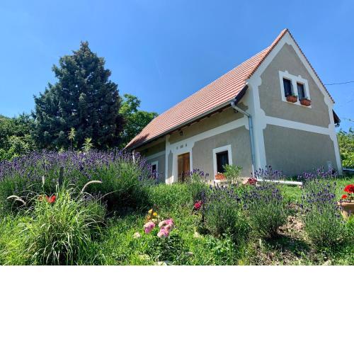 Balaton home with a majestic view