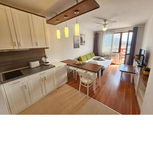 Bansko Private VIP Apartment