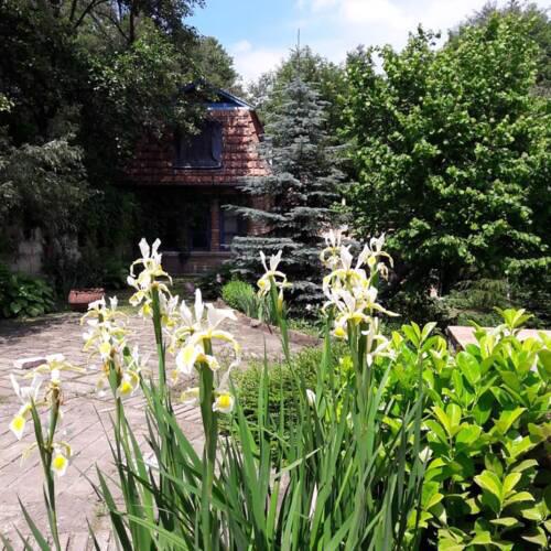 Barátkerti Apartman 818