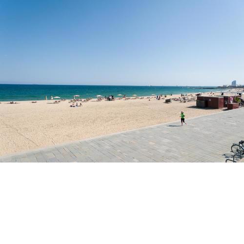 Basic Platja