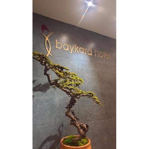 Baykara Hotel