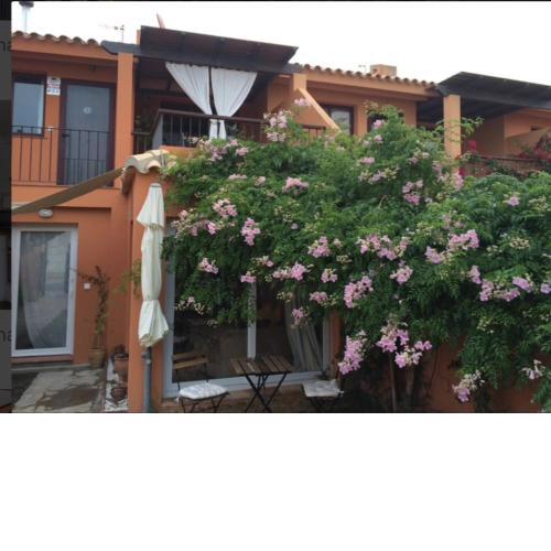 Beach appartment garden and wifi
