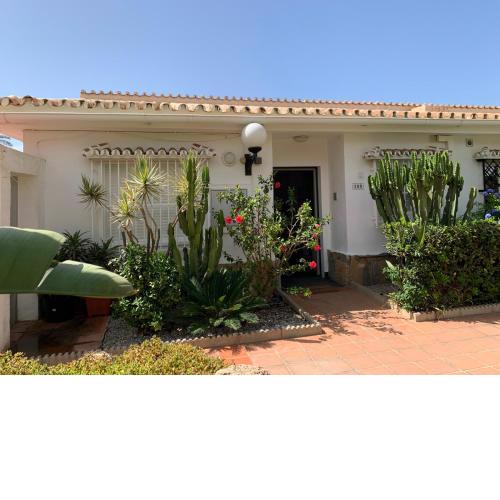 Beach Bungalow