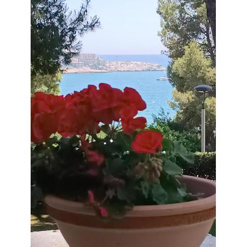 Beach & Flowers