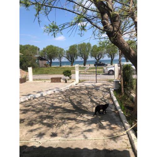 BEACH FRONT HOUSE PERAIA 2 brooms
