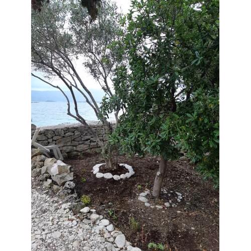 Beach house Korčula island Vrnik