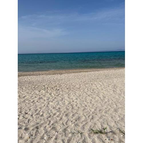 Beach next to the House Agni