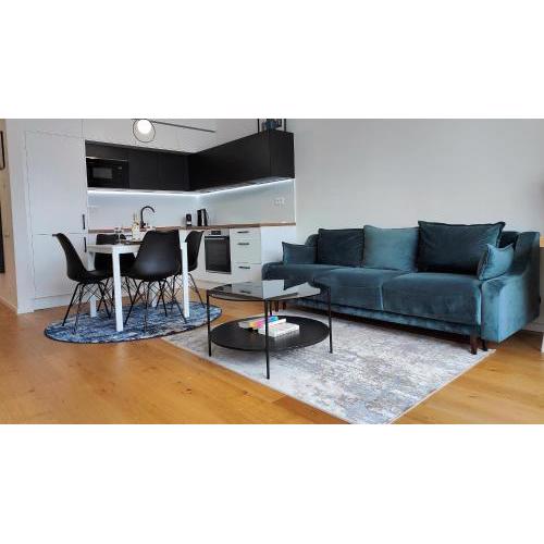 Beautiful 1 - Bedroom Apartment in Downtown