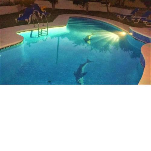 Beautiful 5 Bedroom Villa next to Benalmadena Marina