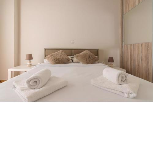 Beautiful And Spacious Apartment In Pagrati