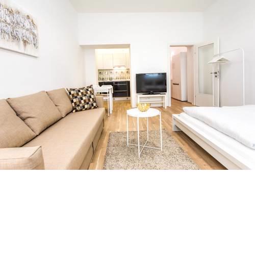 Beautiful apartment in Vienna's heart 1B