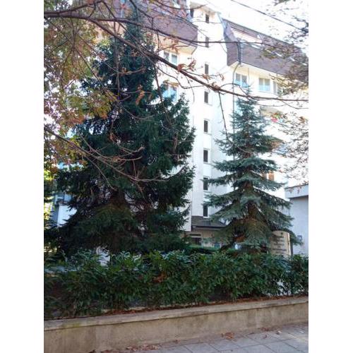 Beautiful apartment near center2